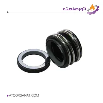 Burgman Mechanical seal 1